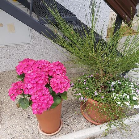 Apartma Arnez بليد المظهر الخارجي الصورة
