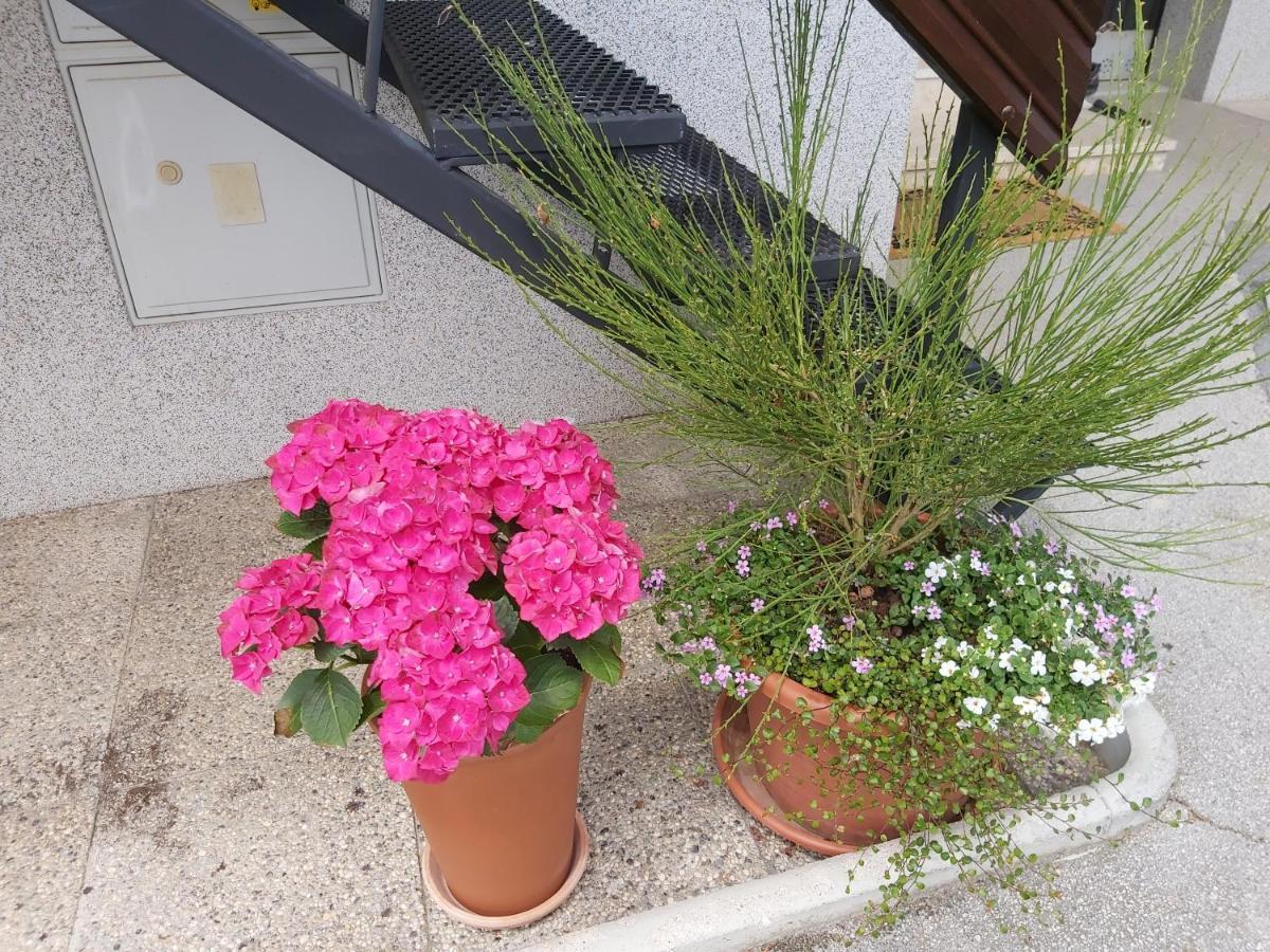 Apartma Arnez بليد المظهر الخارجي الصورة