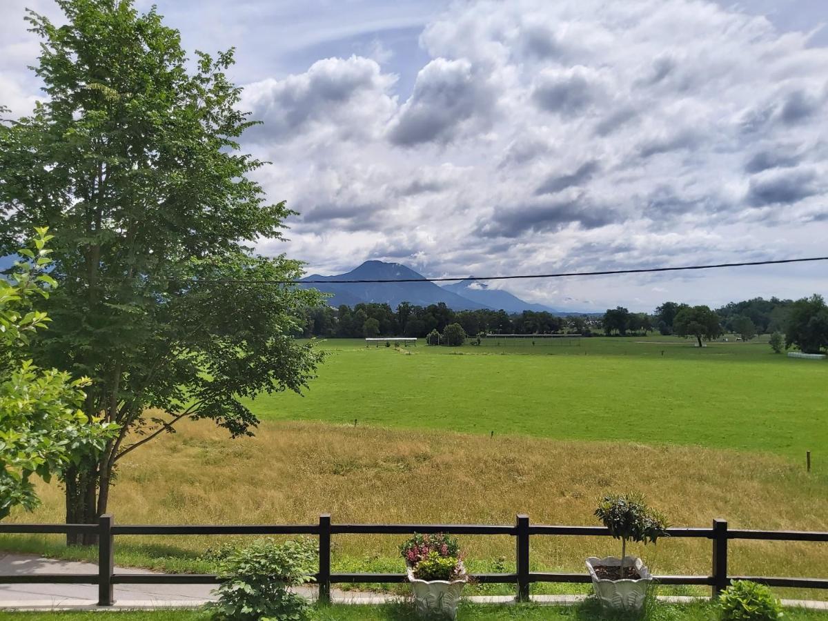 Apartma Arnez بليد المظهر الخارجي الصورة